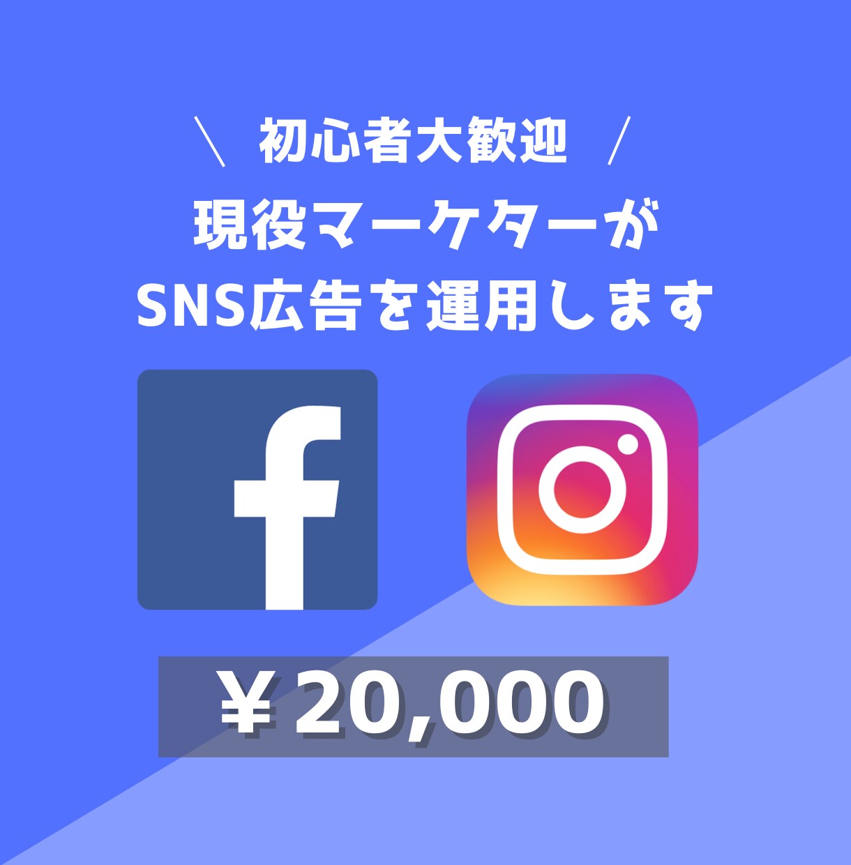 Facebook・インスタ広告の運用代行します 現役マーケターがWEB広告の運用をお手伝いします！ イメージ1