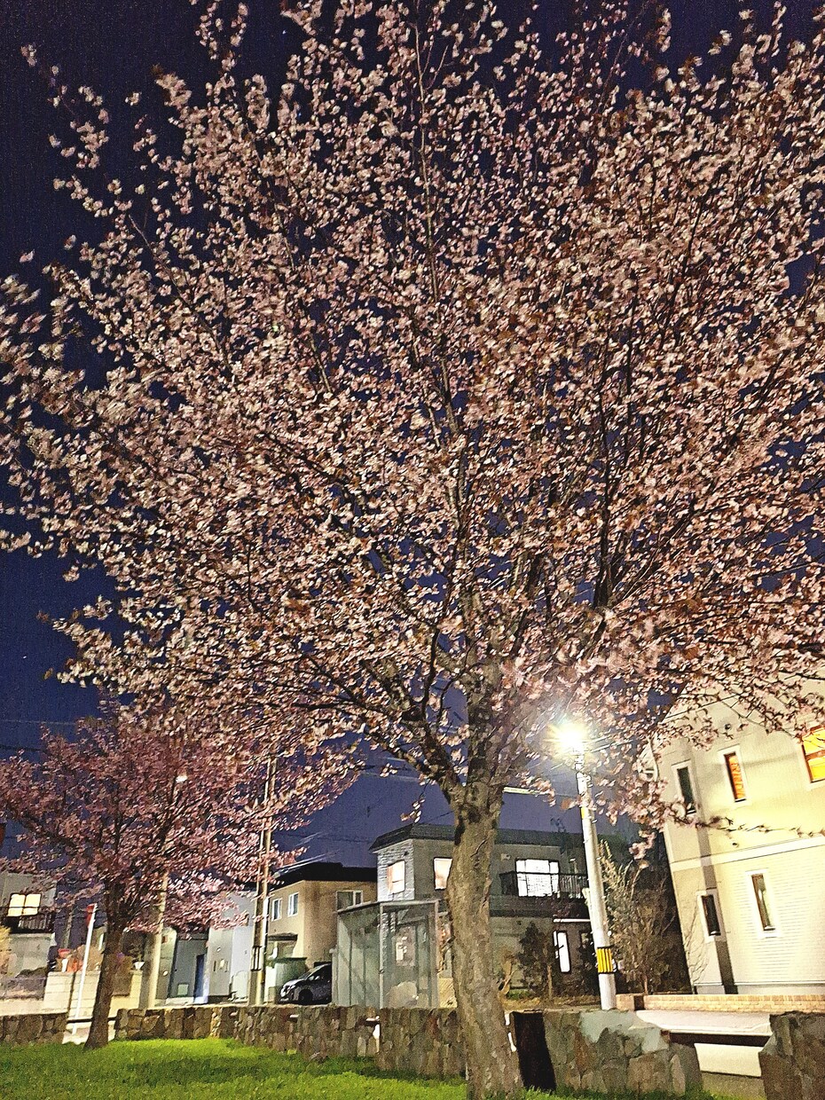 高画質写真を提供します 空気感まで伝わる自然な素材です。 イメージ3