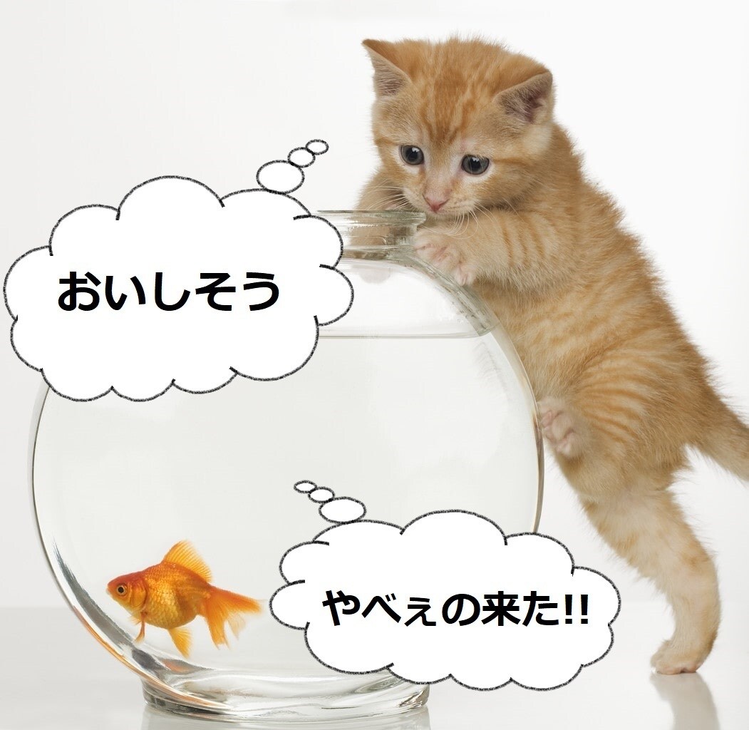 思考を外すノンデュアリティのお話をします 【目覚め・右脳回帰】あなたはすでに『幸せ』✨現実は関係ない イメージ2
