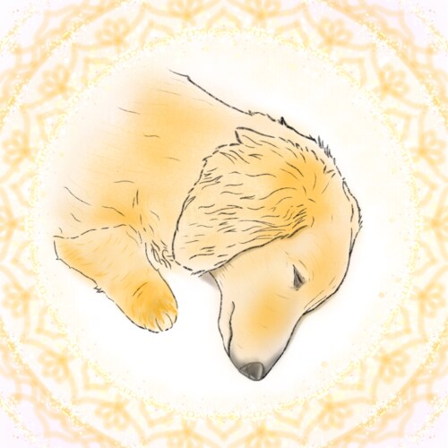 ペットイラスト×マンダラ描きます ペットイラスト＋マンダラアートの特別なイラストを イメージ5