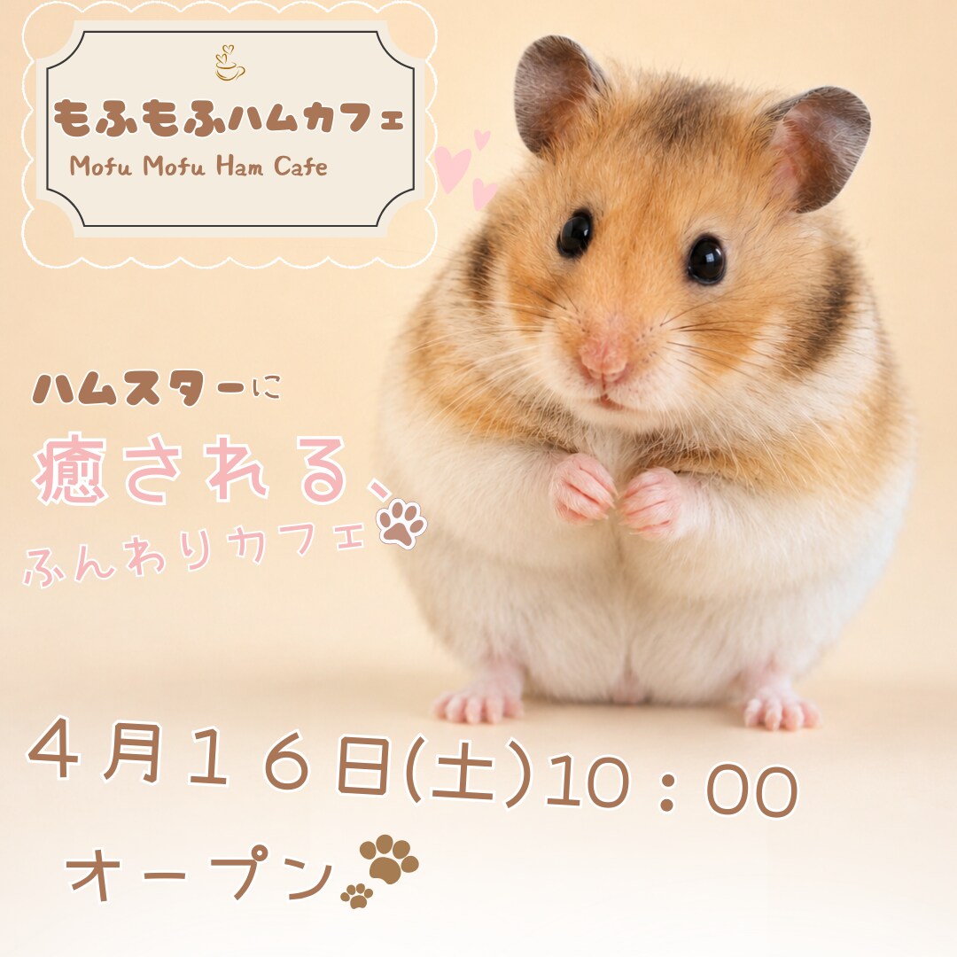 非AI・SNS広告画像などを代わりに制作します Instagram投稿・広告に使える画像を制作します イメージ2