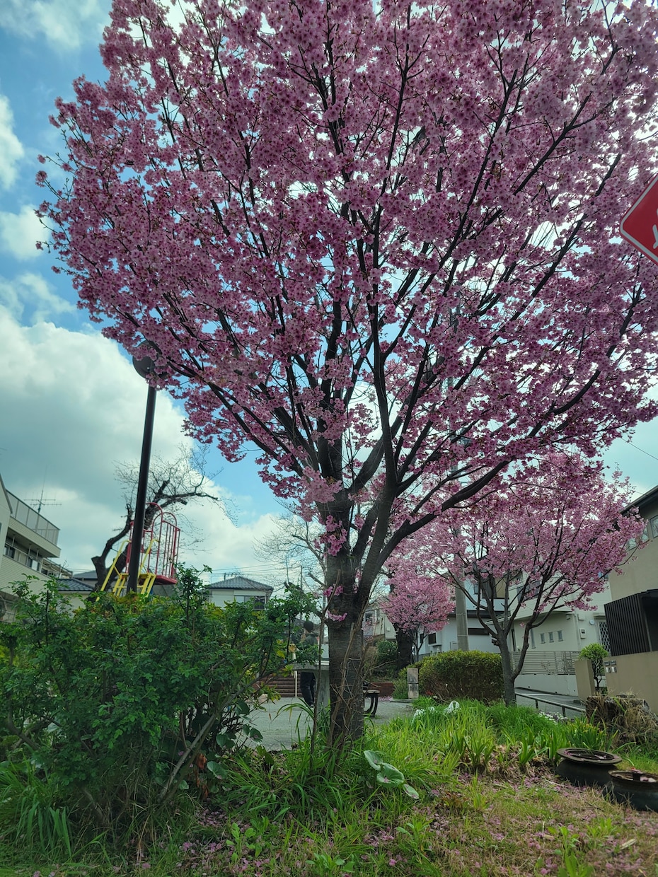 看護師&カウンセラーが話を聞きます 話を聞いて欲しい、何か解決の糸口は、とお悩みの方、ぜひ イメージ3
