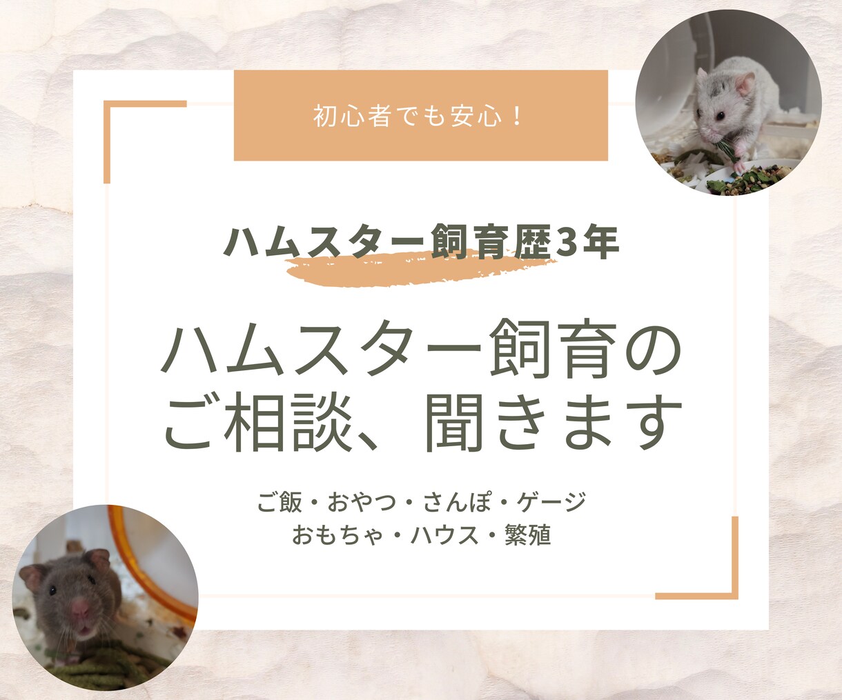 ハムスターの飼育の相談受け付けてます 14匹のハムスターを飼育した経験を伝授！ イメージ1