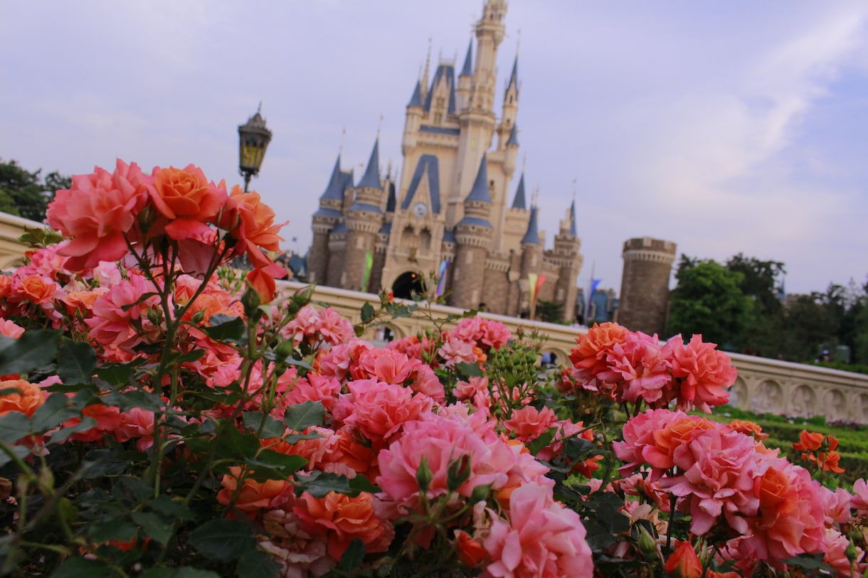 東京ディズニーランド、シーの攻略術教えます 年間パスポートを持っているディズニーファンが教えます。 イメージ3