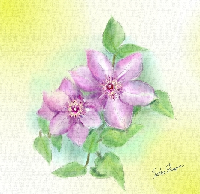 大好きなお花をデジタル水彩画で描きます 季節に合わせたお花を絵葉書にしてみませんか イメージ2