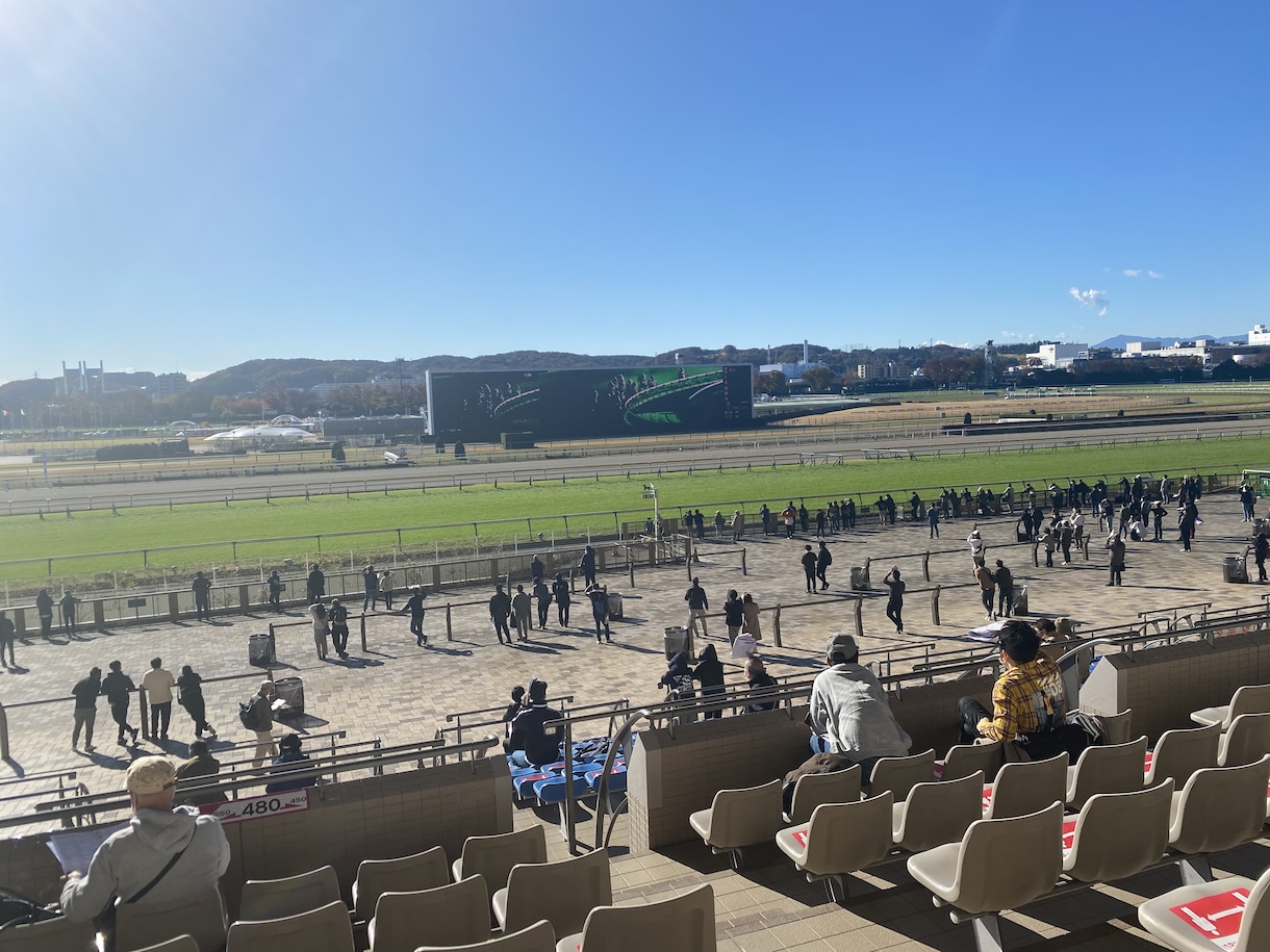 競馬予想をしましょう！プラス収支のお手伝いします 20代ウマ女と競馬予想を楽しみましょう！電話版です！ イメージ2