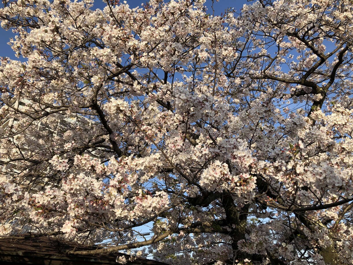 嫁姑問題、ワンオペ育児など相談乗ります 日々の生活で溜まっているものを少しでも吐き出しませんか？ イメージ1