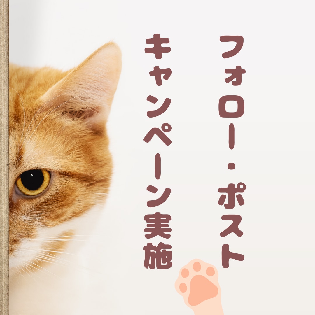 旅館ホテル様のSNS(インスタ)運用代行致します 元旅行会社出身者が旅館ホテル様のインスタグラム代行致します！ イメージ7