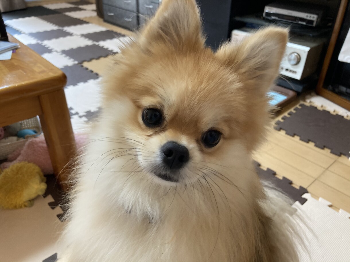 仕事の失敗、愚痴、悩みを普通の会社員がお聞きします 誰にでも失敗はある　人に話して次に進もう イメージ1