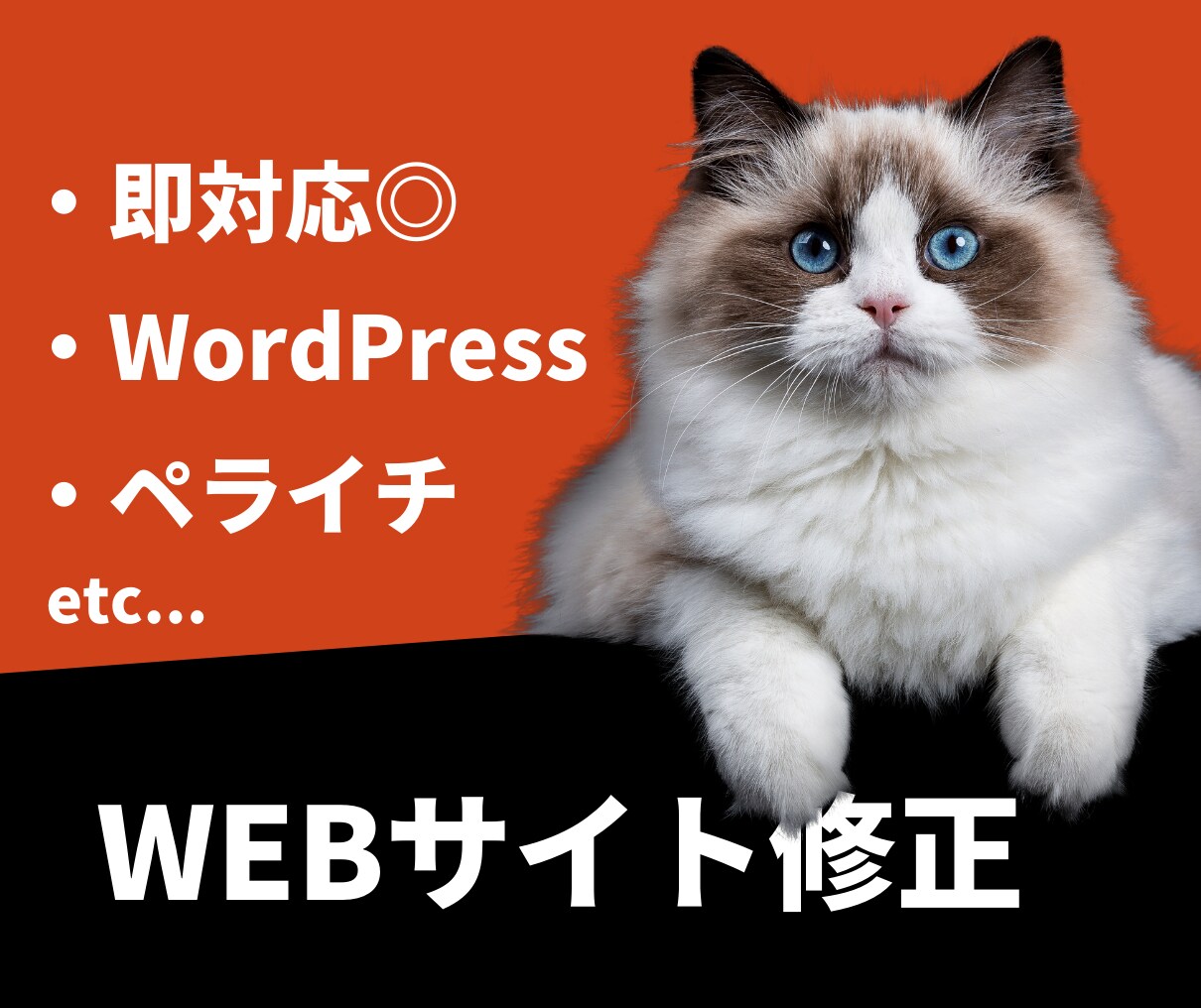 即日対応◎ WEBサイト・HP/LP修正します HTML・CSS、WordPress、ペライチ、BASEなど イメージ1