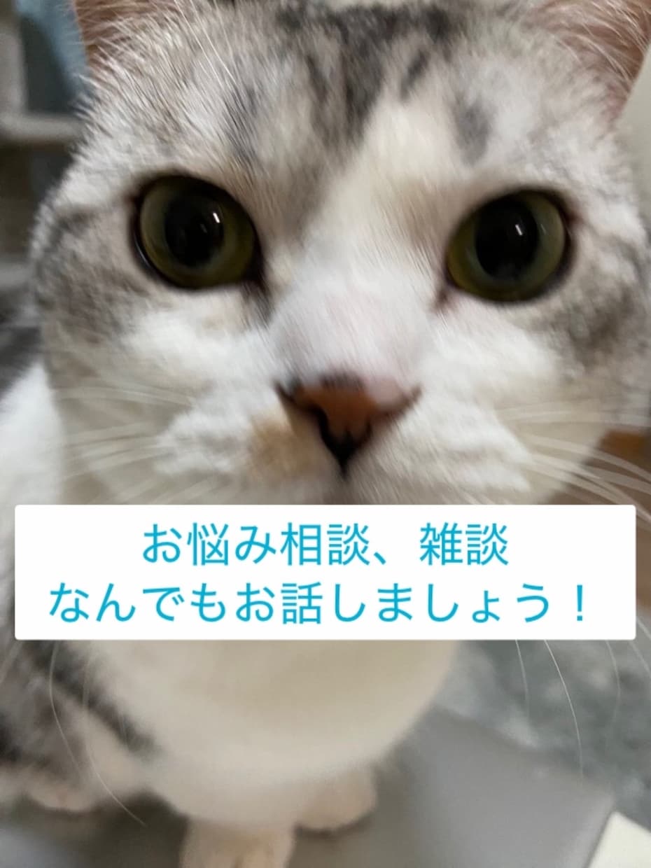 お悩み・ご相談、雑談なんでもおうかがいします なんでもお気軽にお話しましょう！ イメージ1