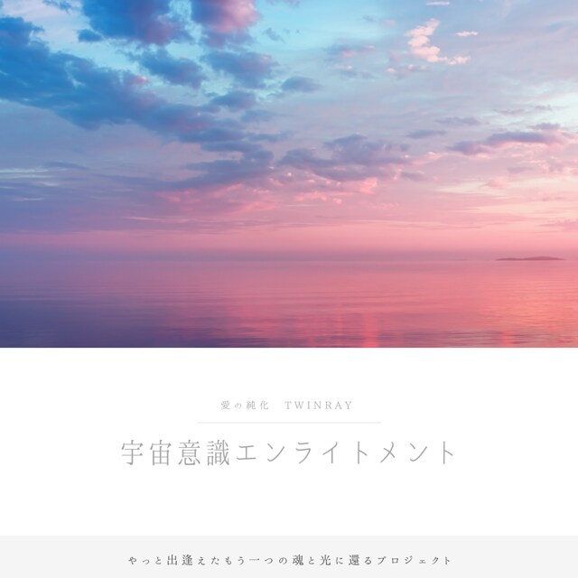 ツインレイ専科霊感タロット【恋愛総合】魂結びます ★運命の人★レイキ★恋愛占い★二人の未来【恋愛総合】★ イメージ8