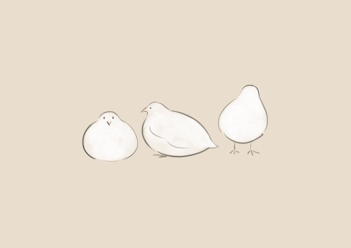和風テイスト、ゆるい動物の絵を描きます ちょっとした動物の挿絵やアイコンなど必要な方へ イメージ5