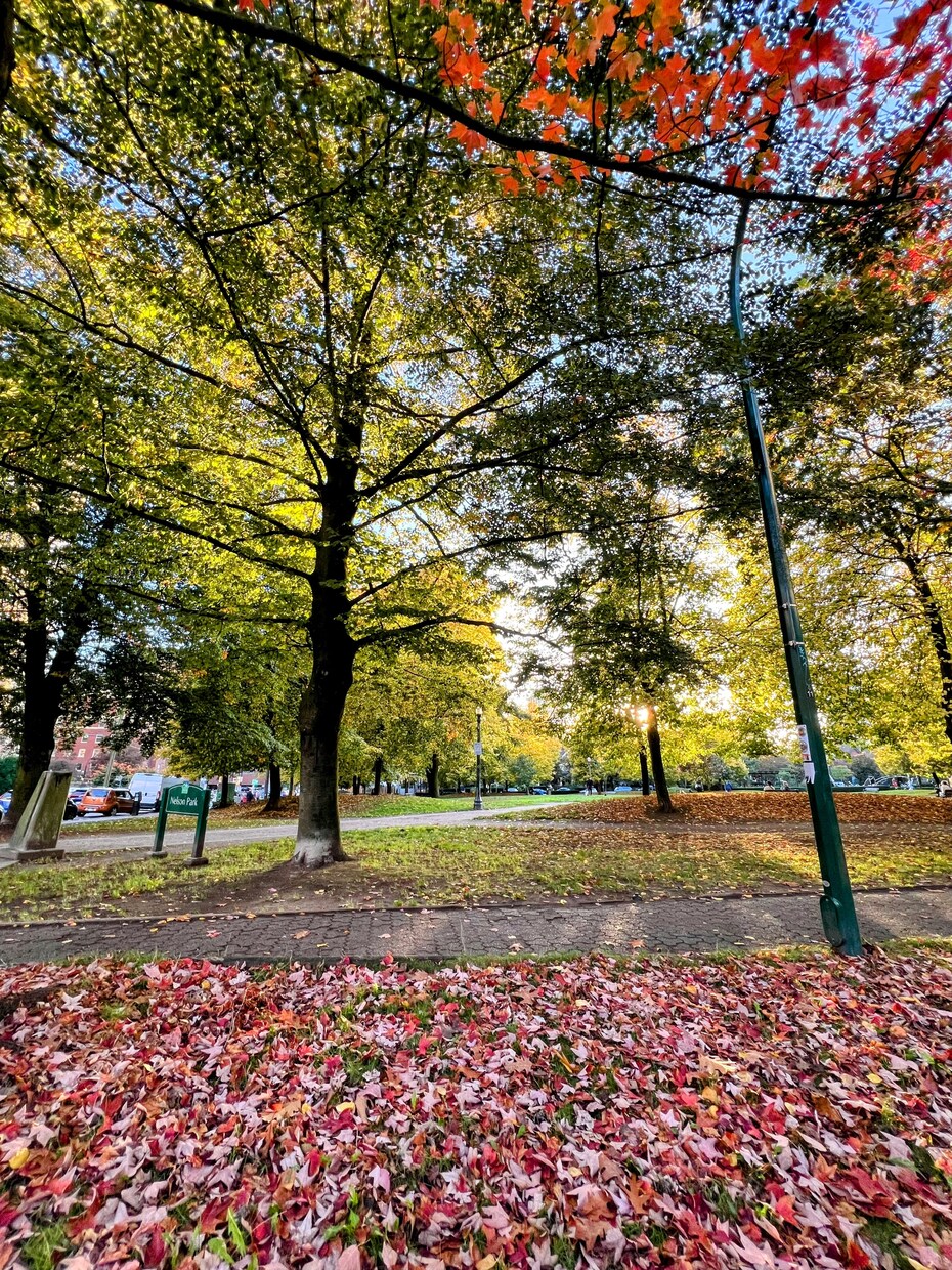 カナダの自然の写真売ります カナダに10年住んでいる私のお気に入りな綺麗な景色たち イメージ1