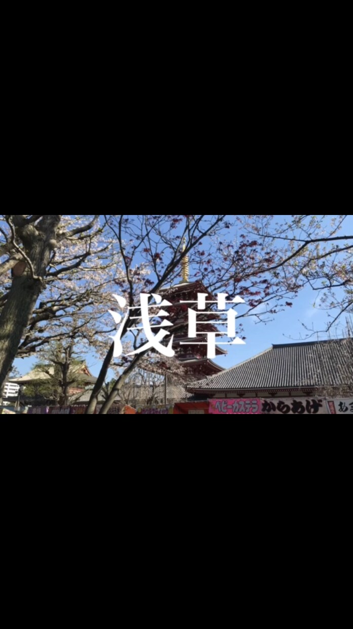３０秒〜動画編集承ります お金をかけずに動画を作りたい方必見。最短2時間で可能！ イメージ2