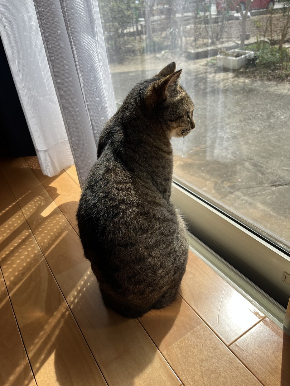 過去に病院に行くほど鬱になっています 今辛いひと、苦しい人、いつでも相談してください。 イメージ2
