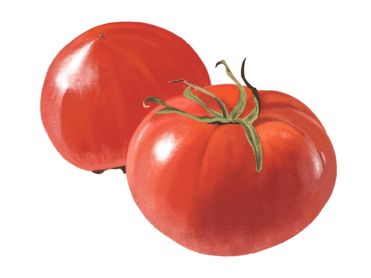 新鮮な野菜果物イラスト｜温かいタッチで制作します レシピ本・メニュー・パッケージ用食品イラストを制作します イメージ5