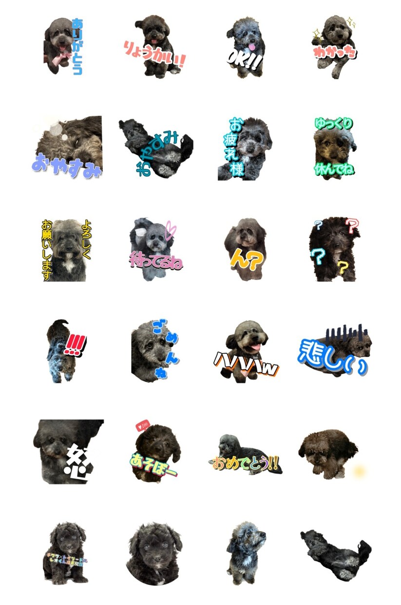 ペットのLINEスタンプ 作成します 世界にひとつだけー我が子のLINEスタンプ イメージ4