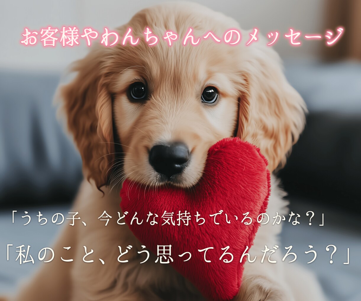 愛犬と飼い主様の心を繋ぎたい。ワンコと話します タロット・ダウジング・アニコミの３本柱で愛犬の気持ちを深堀り イメージ8