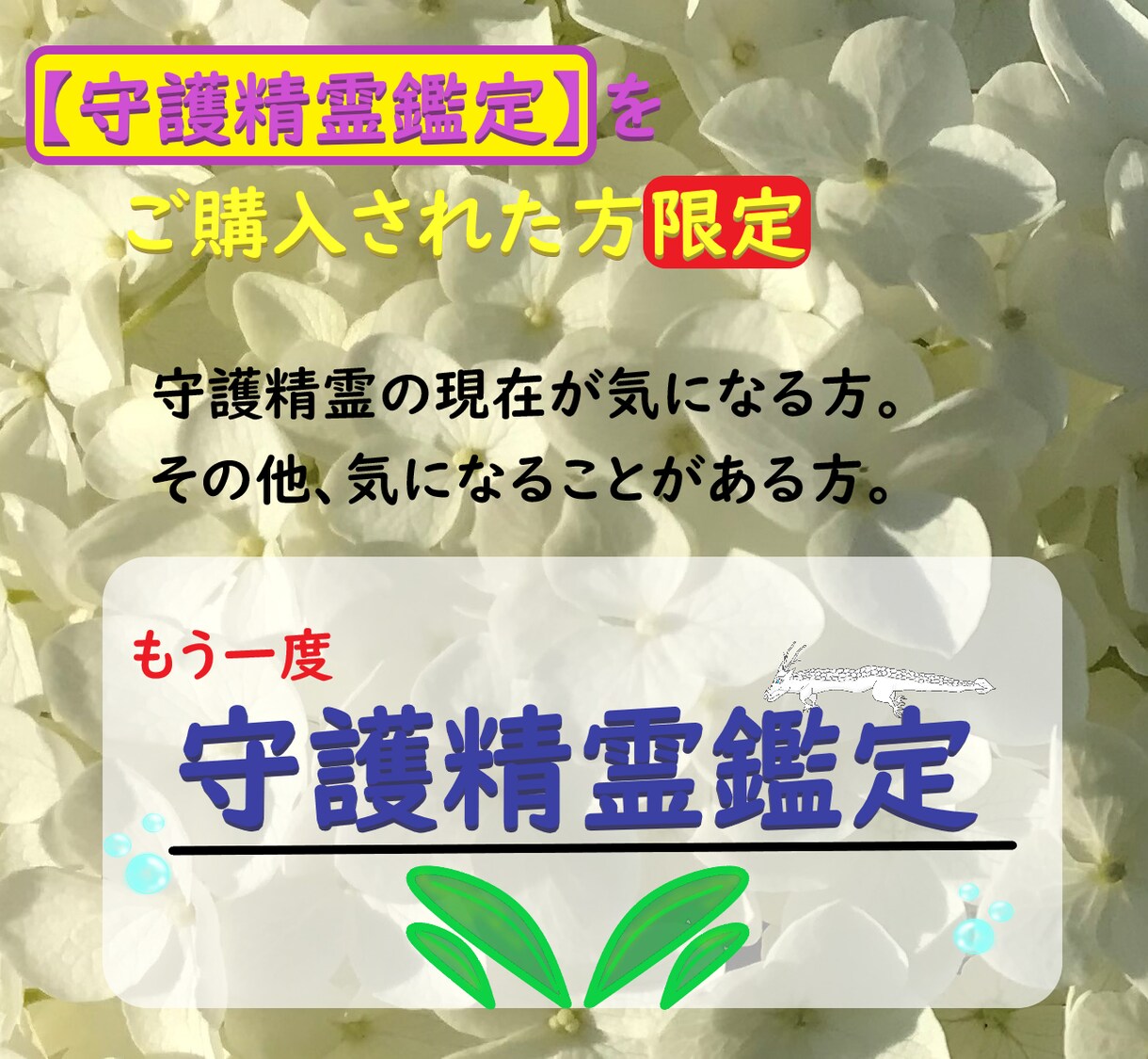 もう一度「守護精霊鑑定」します 【守護精霊鑑定をご購入された方限定】です イメージ3