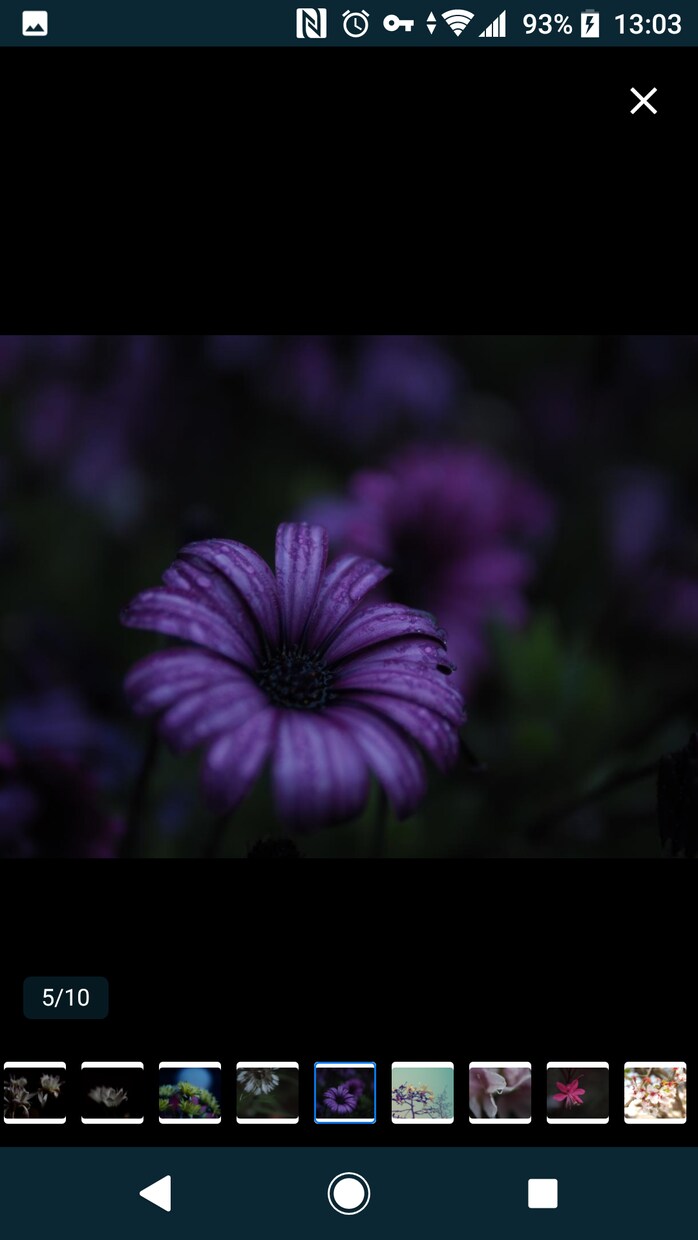 花のおしゃれなオリジナル写真素材を提供します WEBサイト・ロゴ・バナーなどに！4608 x 3456 イメージ5