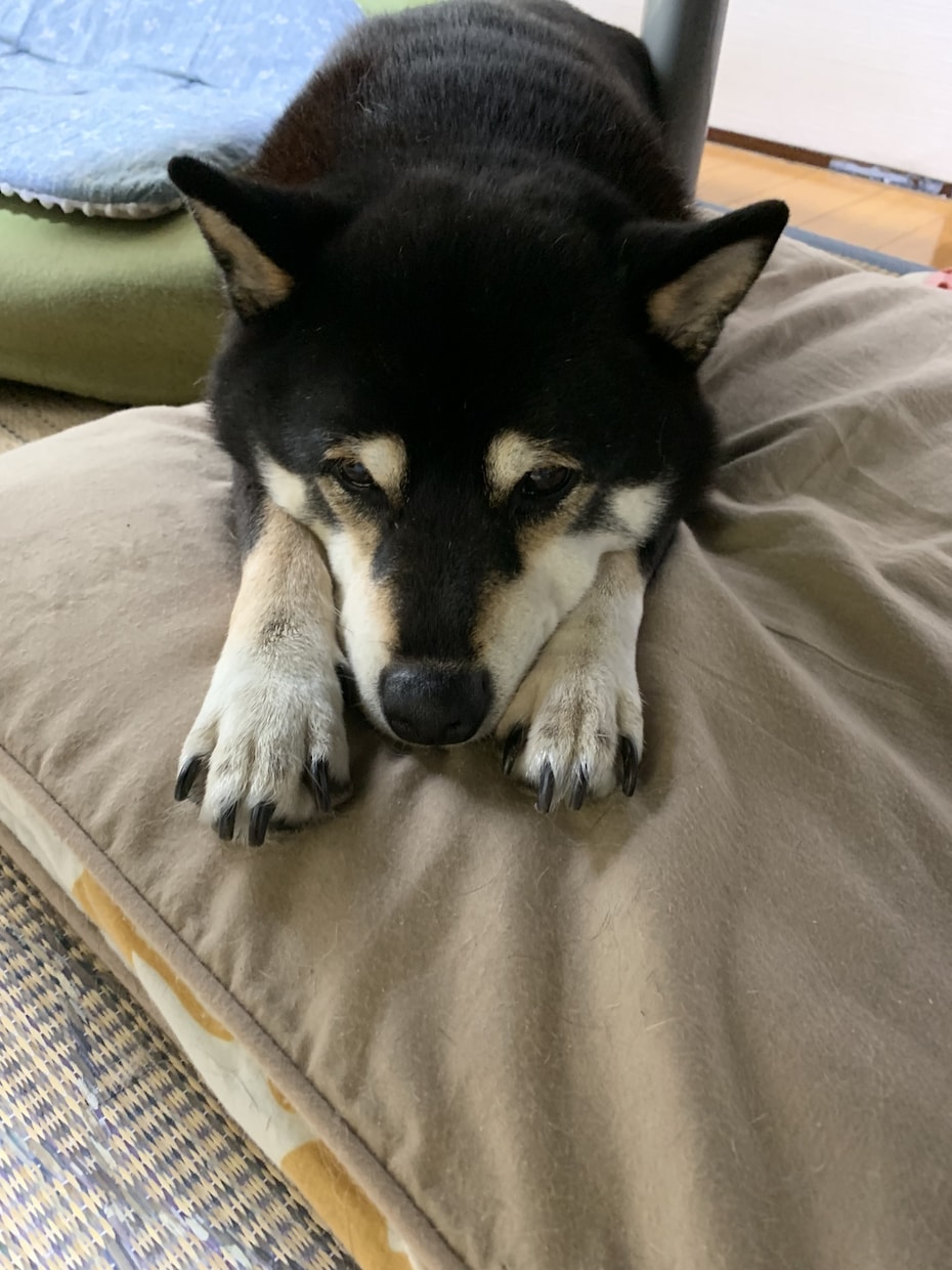 人に言えない悩みでも相談に乗ります あなたの悩みをなんでも答えてあげたい！ イメージ1