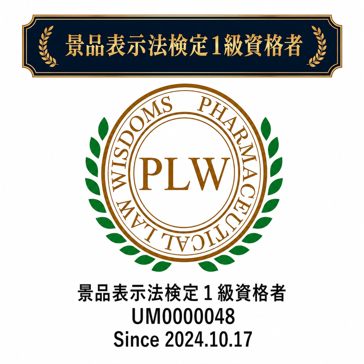 化粧品・サプリなど薬機法関連の広告表現を提案します 広告実績3,500件以上！【資格】薬機法管理者・景表法検定 イメージ9