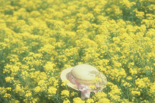 現役の保健室の先生があなたの恋聞かせていただきます 片想い　恋愛成就　女心　禁断の恋愛　デートプラン　お惚気 ♡ イメージ3