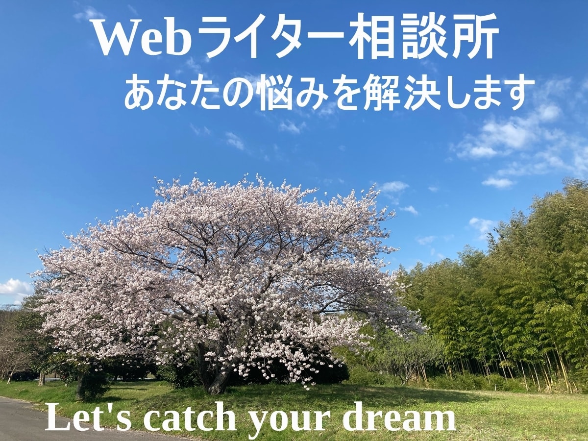 初心者向けWebライターの疑問を解決いたします マンツーマンで、より分かりやすくあなたの悩みに寄り添います イメージ1