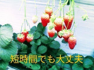 あなたの『とにかく聞いてほしい』に全力でこたえます お悩み、愚痴、育児ストレスに優しく親身に寄り添います。 イメージ1