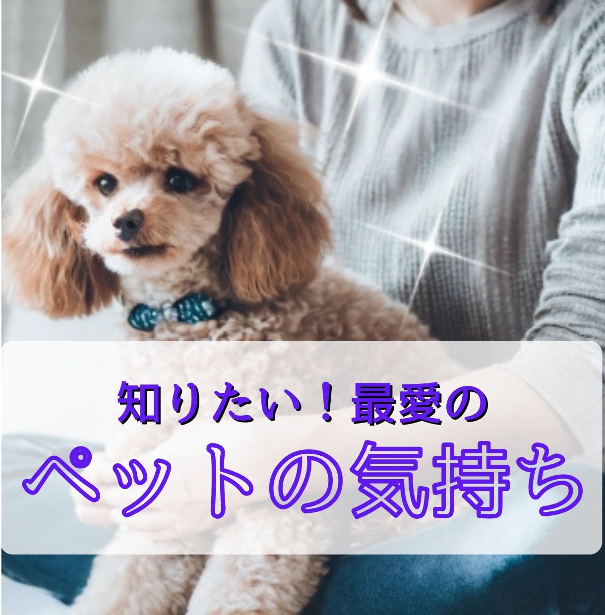 愛するペットの本音を知りたい！サクサク鑑定します 【先着10名様！】実績4600件のスピード鑑定♪ イメージ1