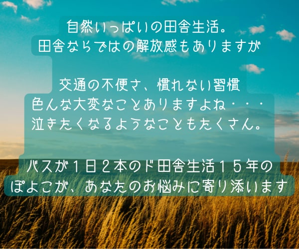 田舎のお嫁さんのお悩み＆愚痴聞きます 同居の悩み、帰省の憂鬱、味方がいない…あなたに寄り添います イメージ2
