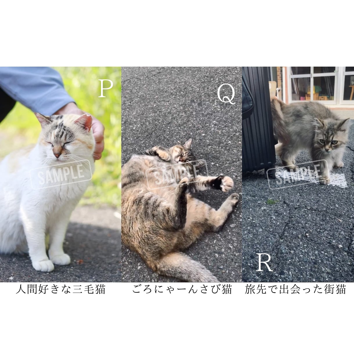SNSに使える高品質な写真の素材提供します カメラ歴7年の私が撮影したお花や猫の イメージ7