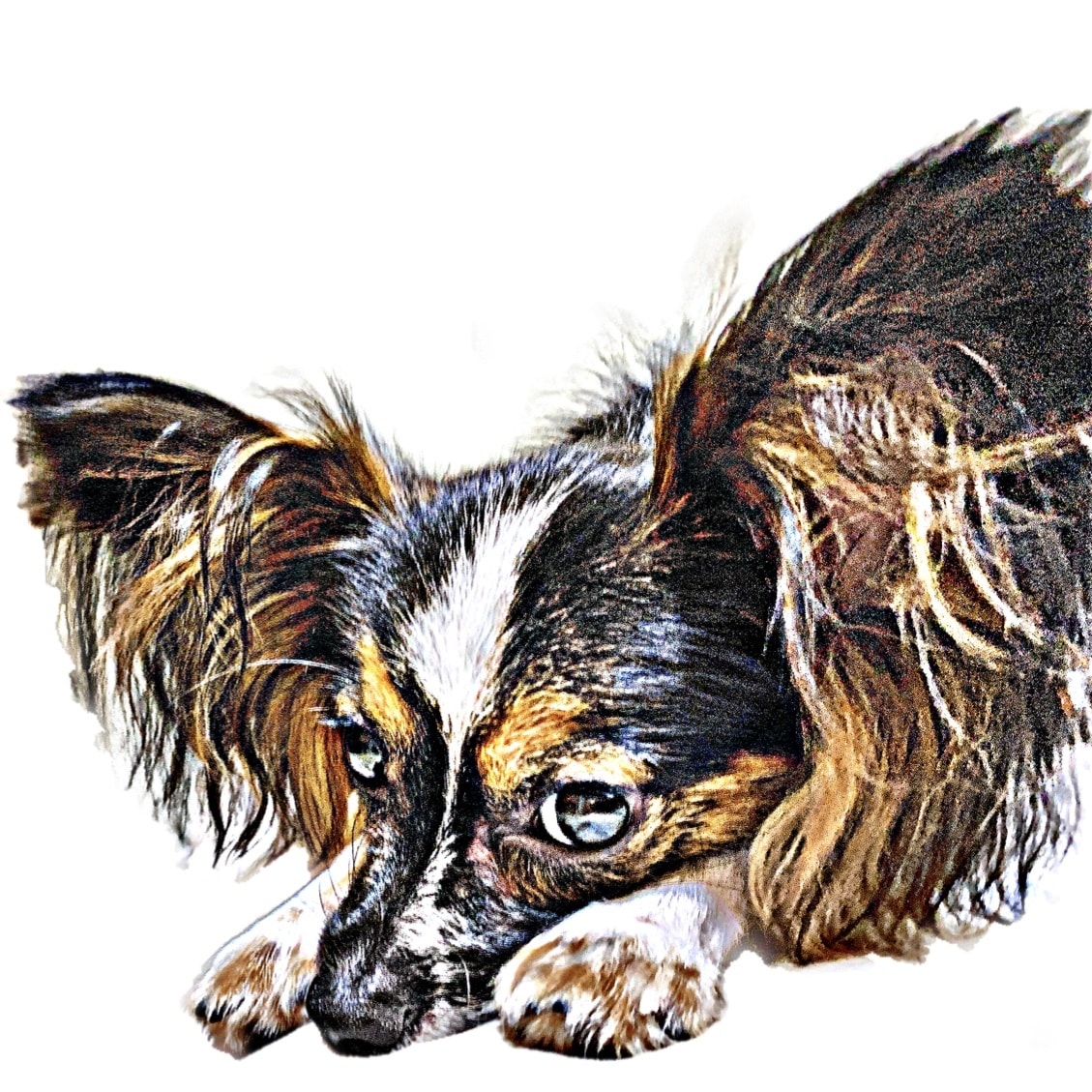 愛犬の写真を切り抜きイラスト風にます シンプルで使いやすい物なのでアイコン、壁紙等に是非！ イメージ2