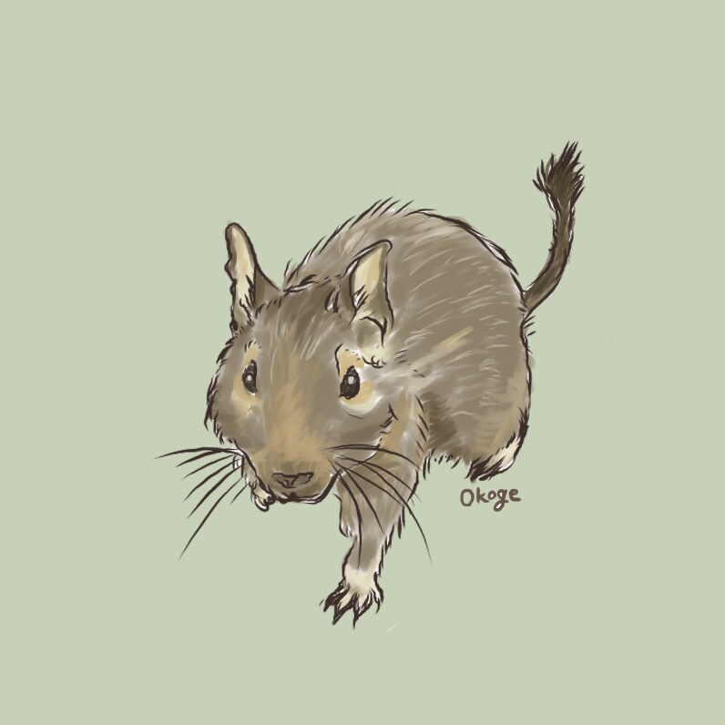 写真から犬・猫・小動物の似顔絵を描きます やさしい手描きタッチで、SNSアイコン・記念におすすめ イメージ6
