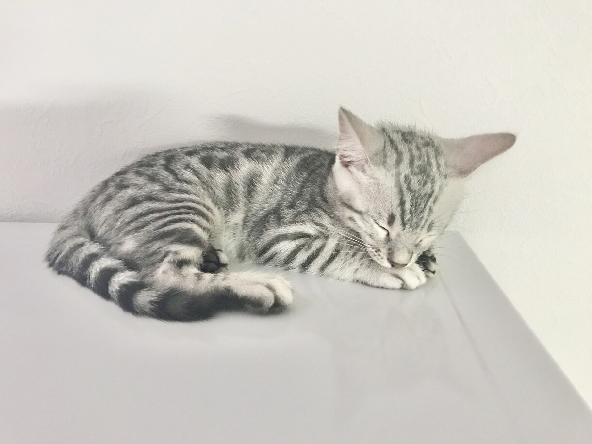 愚痴や相談をお聞かせください！お待ちしています 明日に引きずらない為のメンタルリセット！ イメージ4
