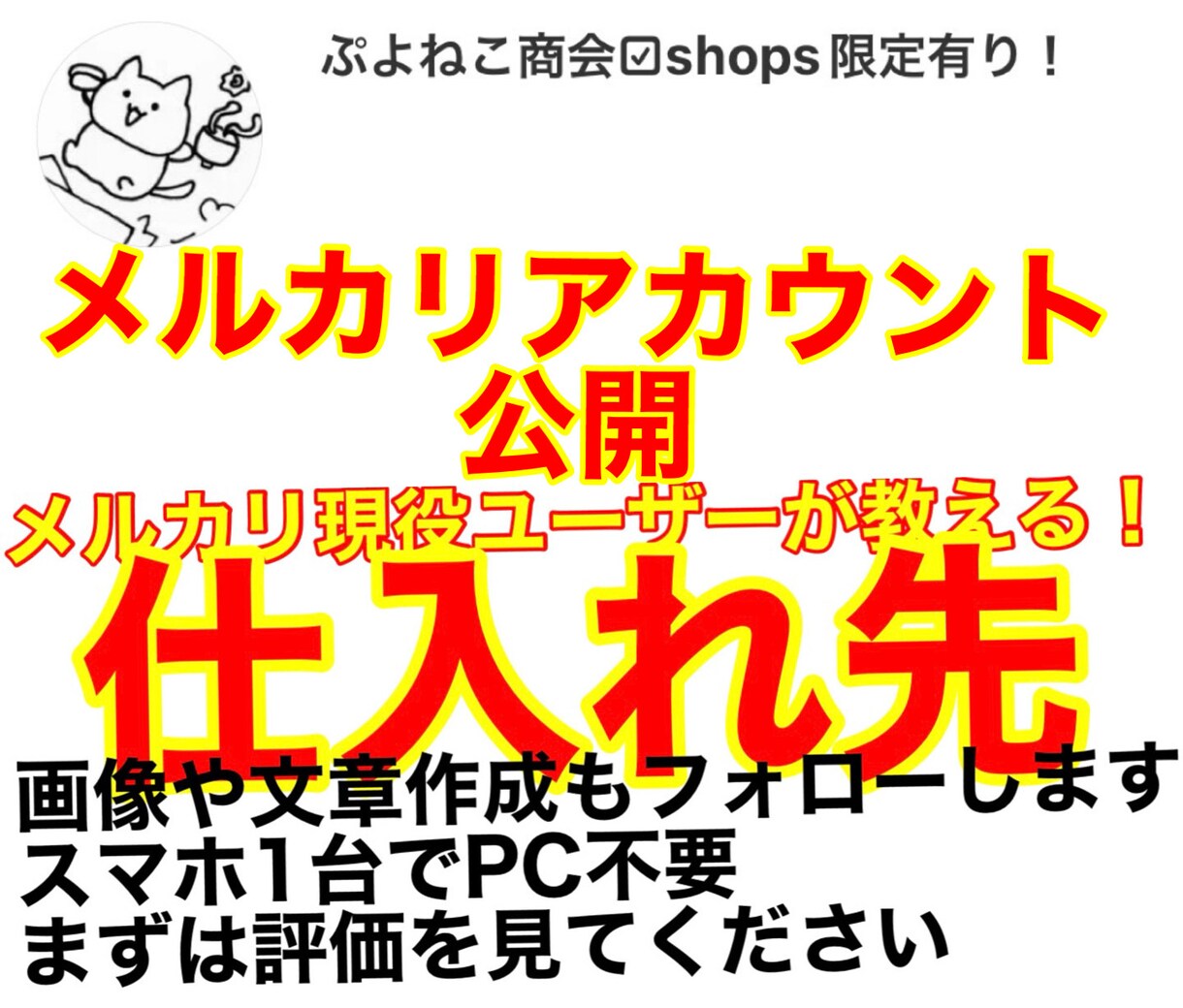 仕入先・売り方　メルカリ現役ユーザーが教えます 自身のメルカリアカウント公開！評価数や実績を全公開します！ イメージ1