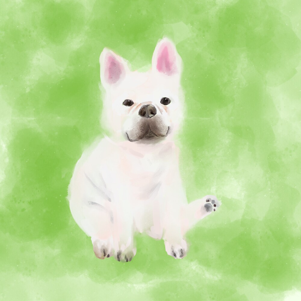 使い道いろいろ☆うちの子イラスト作成します なごみ系、おしゃれ系など、個別のご要望にお応えします！ イメージ5