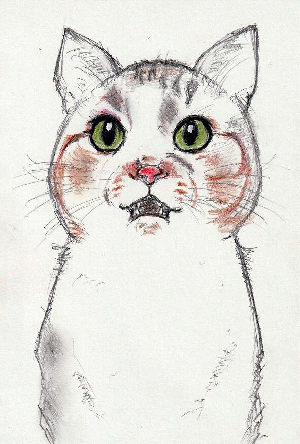 手描きで主に猫イラストを描いています 皆様のリクエストにお応えして猫や様々なイラストを描きます。 イメージ6