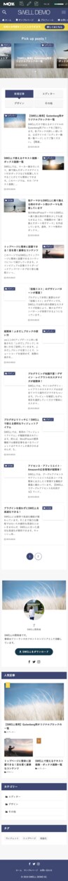 ブログを始めたい方必見！記事書くまでサポートします ワードプレスの作り方がわからない方、初心者お勧め イメージ10