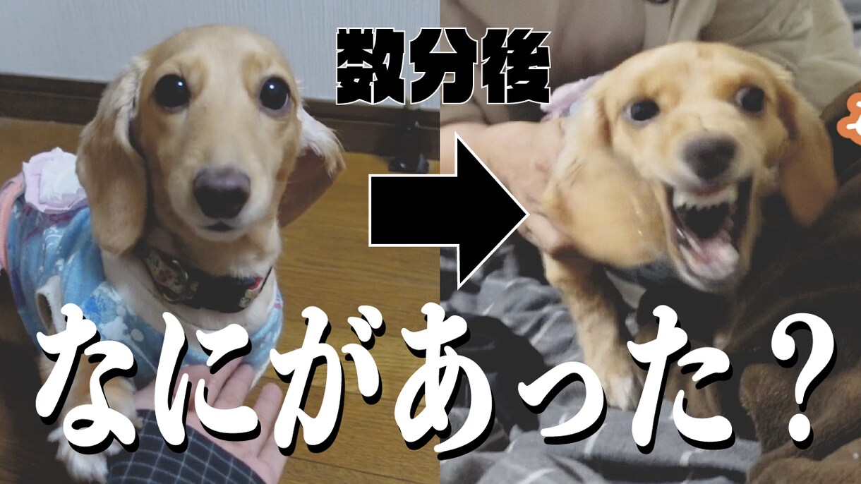 YouTubeのサムネイル作ります ポップなデザインやシネマティックなデザインまで イメージ3