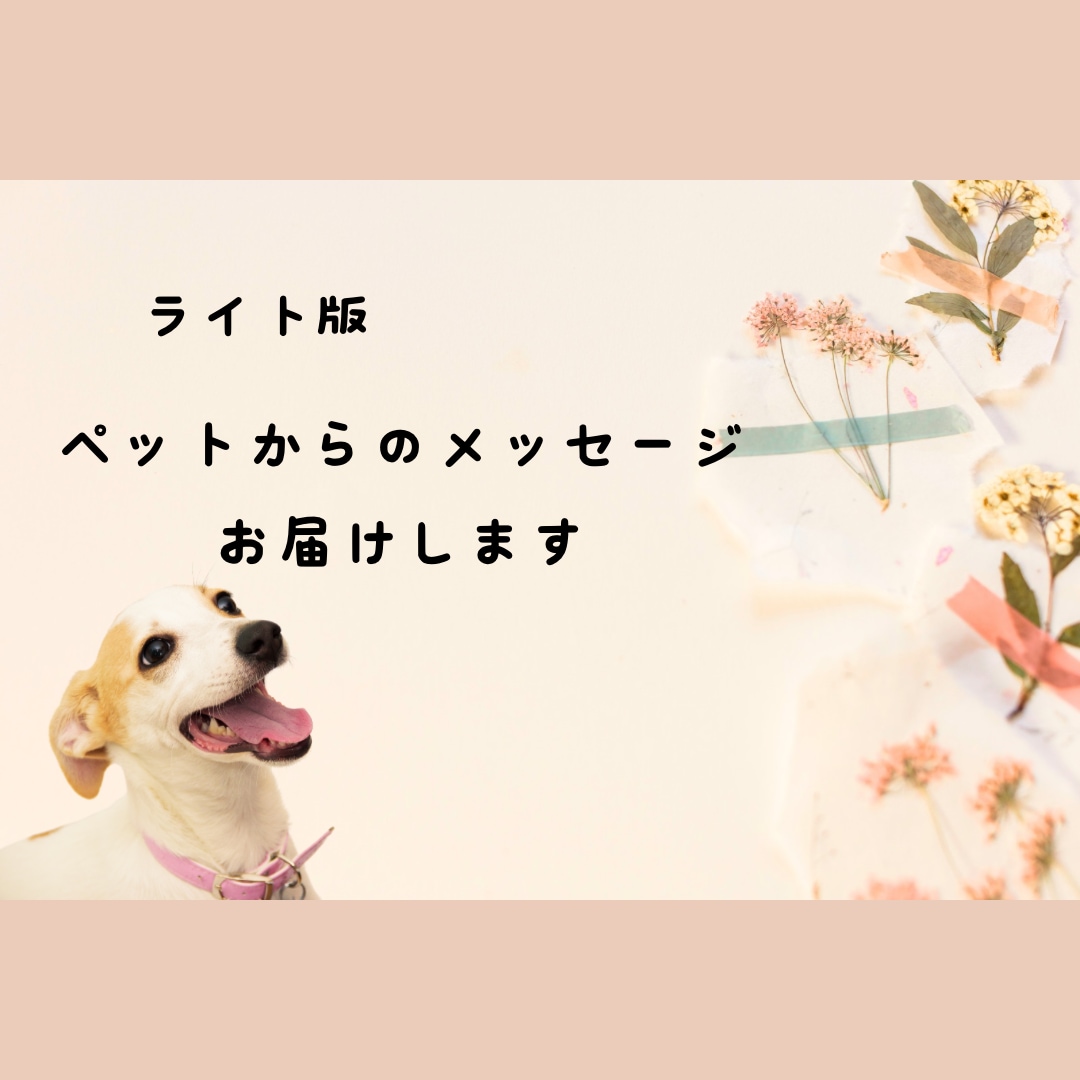 ライト版：ペットからのメッセージをお届けします 大事な家族である動物たちのメッセージを聞きたい方へ イメージ1