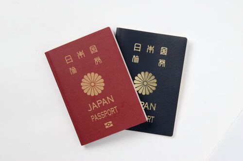 絶対必要なインド観光ビザ取得の手続きお手伝いします ビザ取得の経験を生かしてあなたの旅の出発をサポート！！ イメージ1