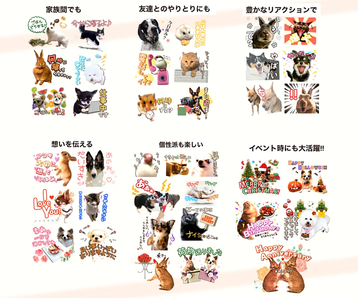 あなただけのオリジナルLINEスタンプ作ります 「うちの子スタンプ」細かな部分まで丁寧に仕上げます♪ イメージ3