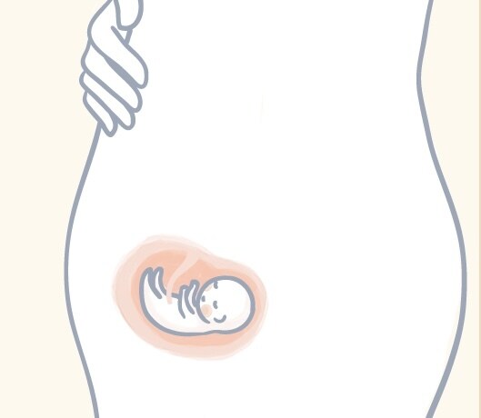妊娠中に気になるアレコレ答えます 妊娠初期の体の異変？これって普通？ イメージ1