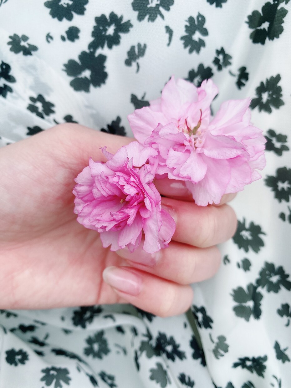 今の自分のすすむべき道とは?占います 『アナタ』を知ることが全てのはじまり。 イメージ4