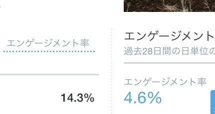 60RTになるまであなたを拡散・宣伝し続けます Twitterで50万人に徹底拡散・宣伝！初回限定値下げ中！ イメージ3