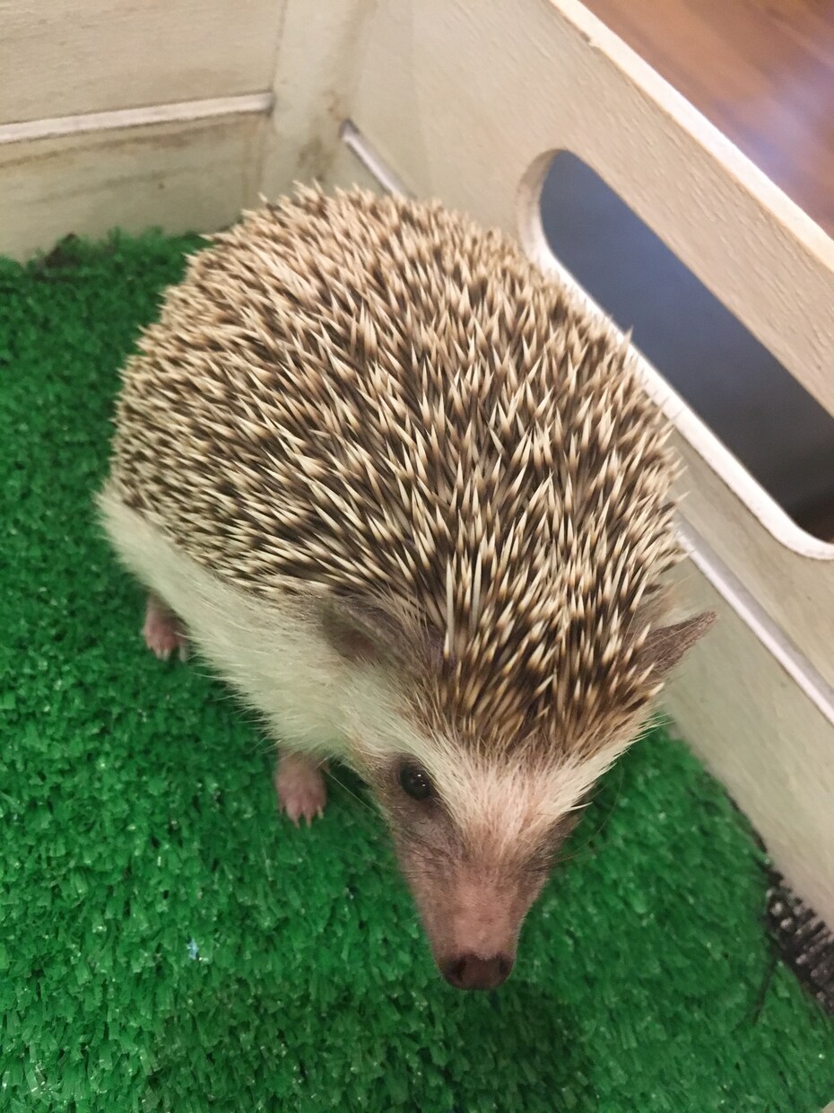 話し相手になります 愚痴を聞いて欲しい人。話し相手が欲しい方。 イメージ1