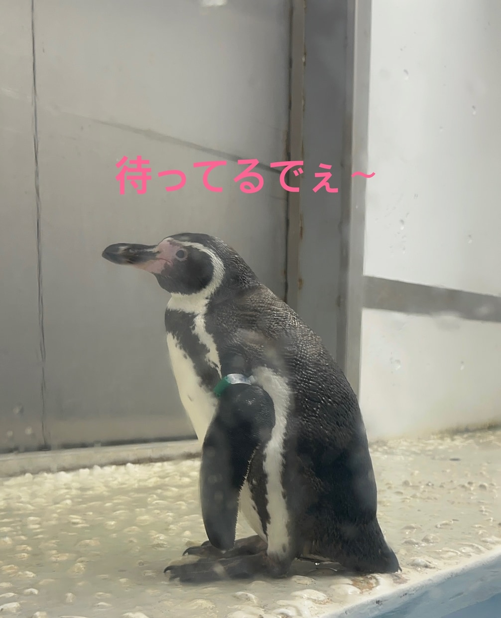 関西弁がいいよって方には関西弁で話します 優しい関西弁でお話しします╰(*´︶`*)╯♡ イメージ8