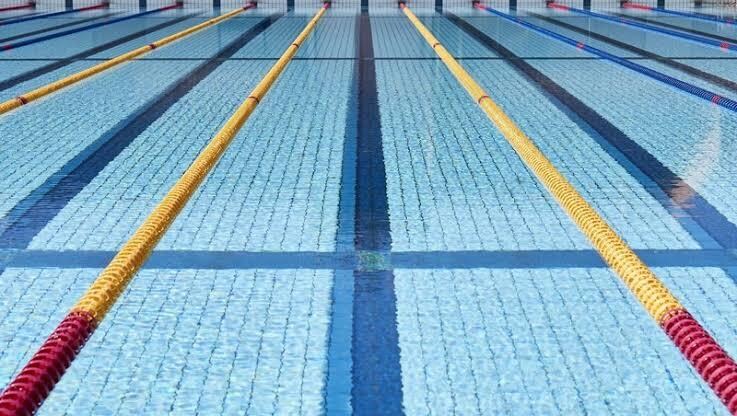 水泳の都大会に出るまでの経験を話します 中学校の時に部活で都大会に出た時の話をします。 イメージ1